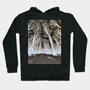 Negative Forest Hoodie